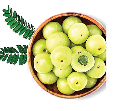 வாயு தொந்தரவால் அவதியா?