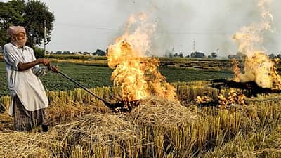 பயிா்க்கழிவு எரிப்பை பஞ்சாப், ஹரியாணா அரசுகள் கட்டுப்படுத்தக் கோரி புதிய மனு!
-உச்சநீதிமன்றம் நிராகரிப்பு