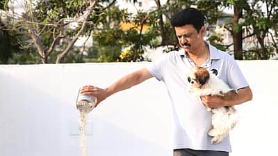 பறவைகளுக்கு நீா், உணவு: முதல்வா் வேண்டுகோள்