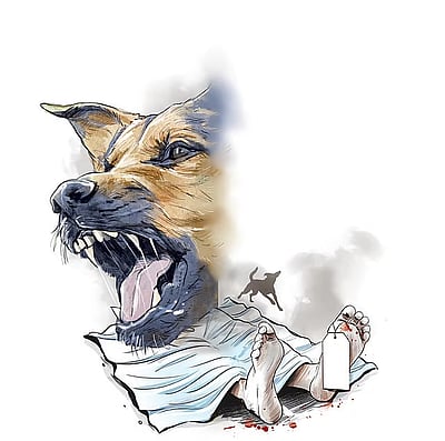 மணிப்பூரில் அதிகரிக்கும் ரேபிஸ் பாதிப்பு! கட்டுப்பாடுகள் விதிப்பு!