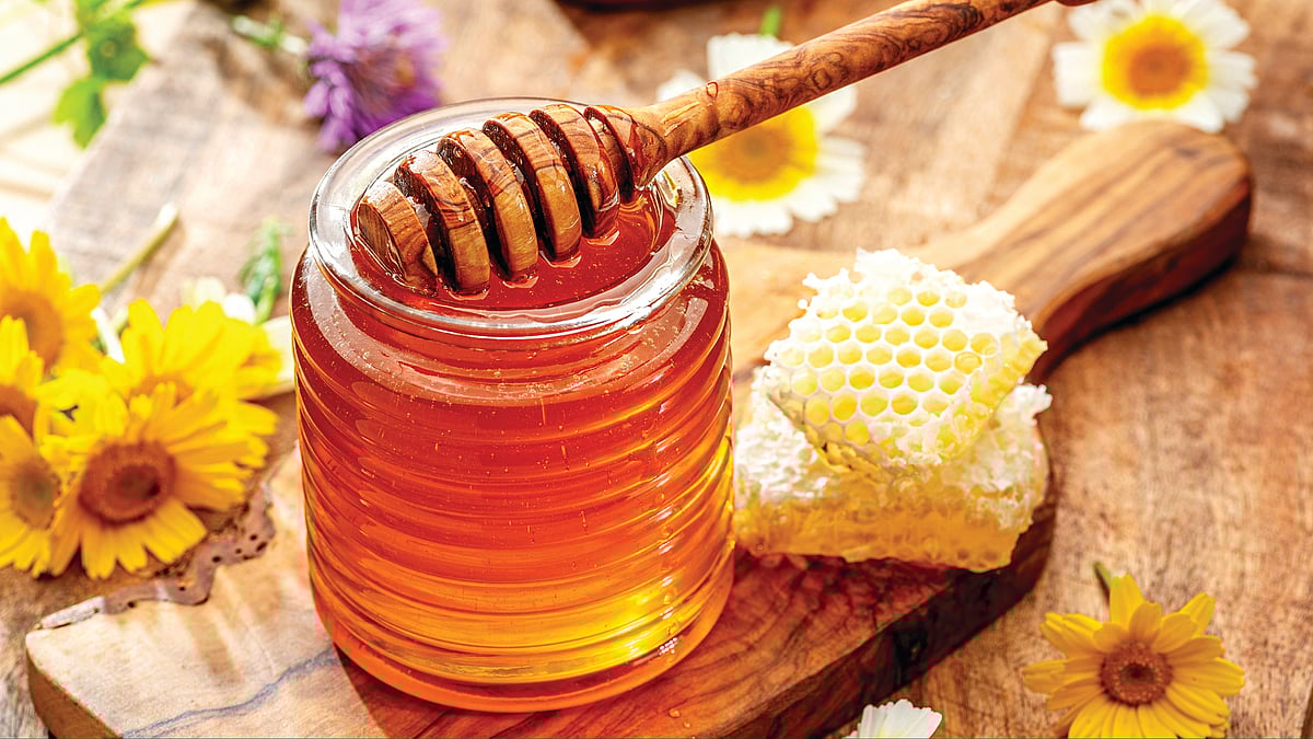 பாலூட்டும் பெண்கள் காளான் சாப்பிடலாமா?