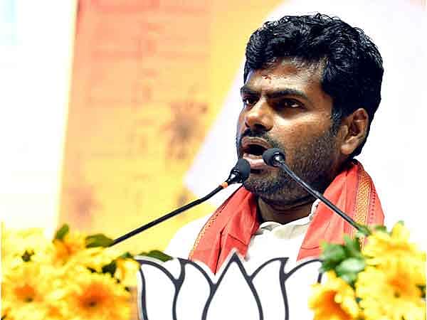 அண்ணாமலையை விசாரிக்கக் கோரி மனு 