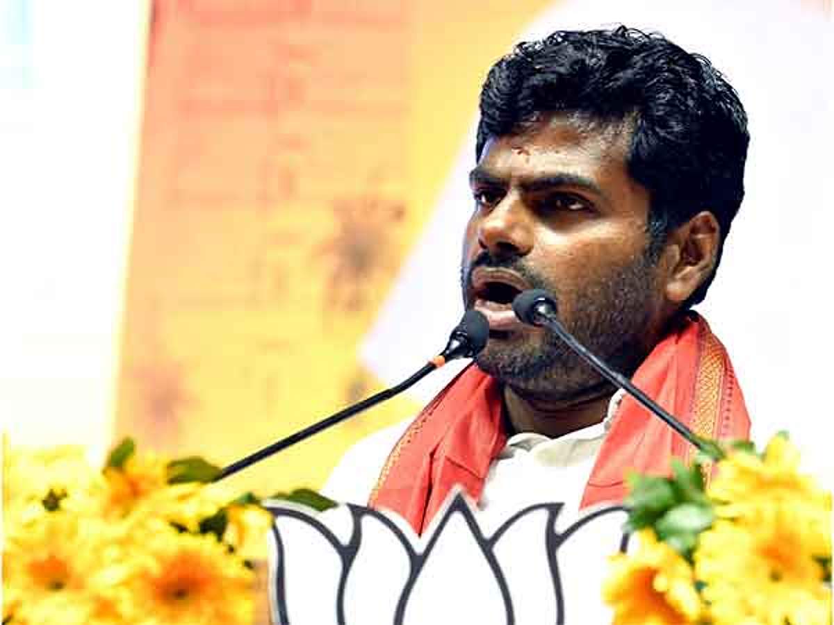 அண்ணாமலையை விசாரிக்கக் கோரி மனு