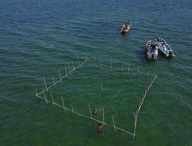 கடல்தாழை நடப்பட்டுள்ள இடத்தில் அமைக்கப்பட்டுள்ள வேலி.