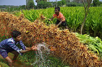 பார‌ம்​ப​ரி​ய‌த்​து‌க்கு பாது​கா‌ப்​பு!
