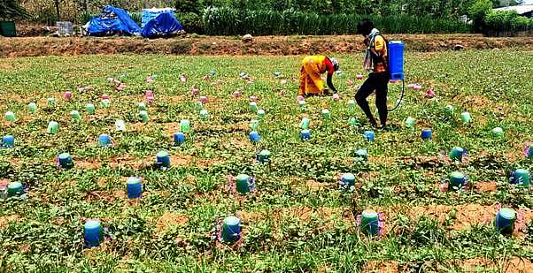 தமிழக அரசின் பட்ஜெட் விவசாயிகளுக்கு ஏமாற்றம்