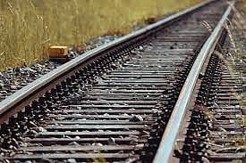 தண்டவாளத்தைக் கடக்க முயன்ற 6 எருமைகள் பலி!