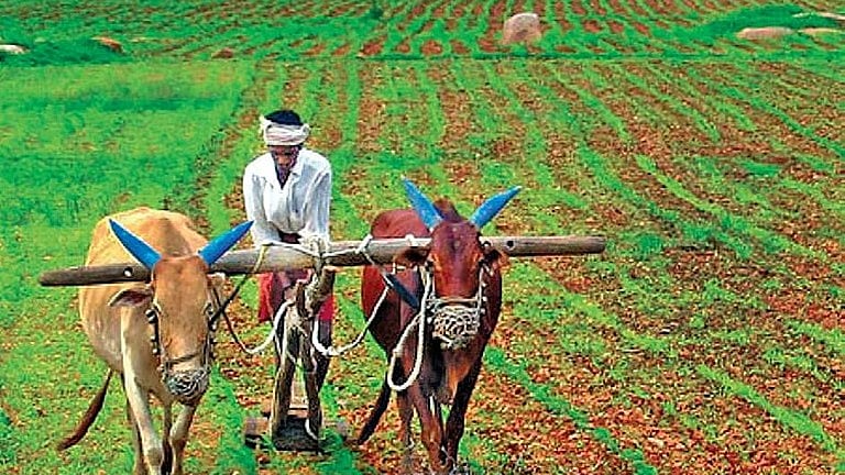 விதிமுறை திருத்தம் அவசியம்!