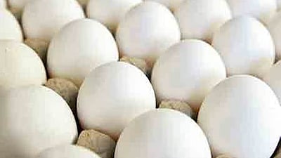 அமெரிக்கா: அடிப்படை உணவு விலை அதிகரிப்பு; சீனா விமர்சனம்