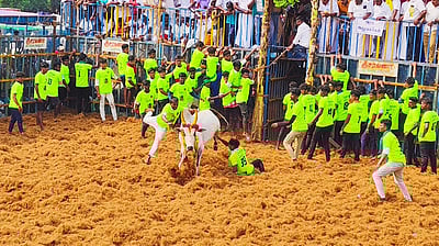 முள்ளிப்பட்டியில் ஜல்லிக்கட்டுப் போட்டி