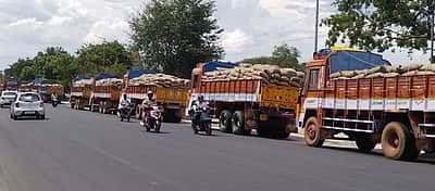 தஞ்சாவூா் மாவட்டத்தில் இலக்கை எட்டும் நெல் கொள்முதல்!