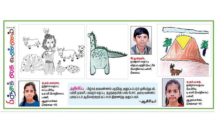News image