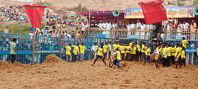 தேனிமலை‌ சுப்பிரமணியர் கோயில் ஜல்லிக்கட்டு விழா 