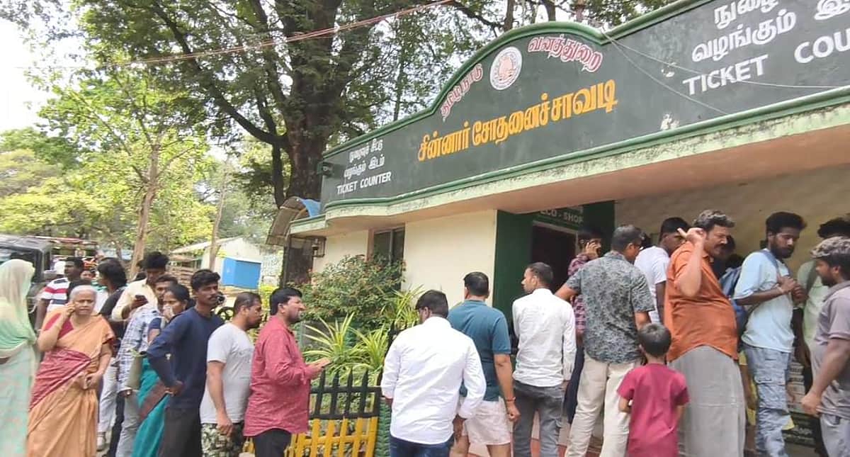 News image
