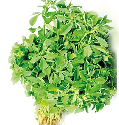 பாட்டி வைத்தியம்...