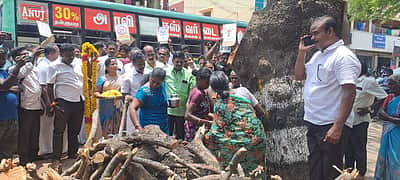 மரங்கள் வெட்டப்படுவதை கண்டித்து போராட்டம்