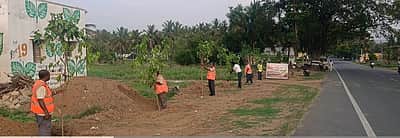 நெடுஞ்சாலைத் துறை மூலம் 
மரக்கன்றுகள் பராமரிப்பு