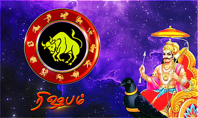 சனிப்பெயர்ச்சி பலன்கள் - 2025: ரிஷபம் 