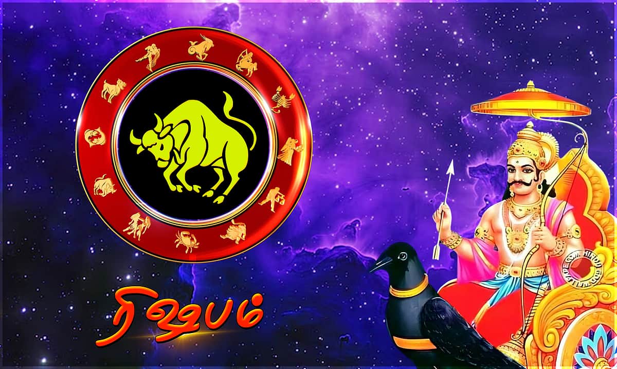 சனிப்பெயர்ச்சி பலன்கள் - 2026: ரிஷபம்