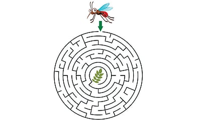 வழிகாட்டுங்கள்