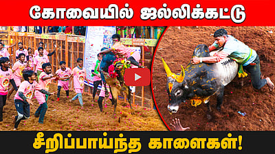 கோவையில் ஜல்லிக்கட்டு! சீறிப்பாய்ந்த காளைகள்! | Jallikattu | Kovai | Jallikattukalai
