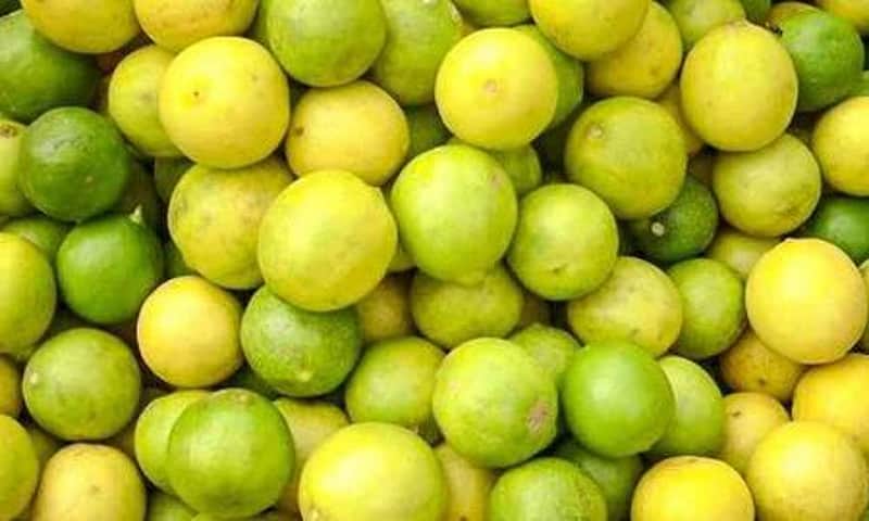 lemon