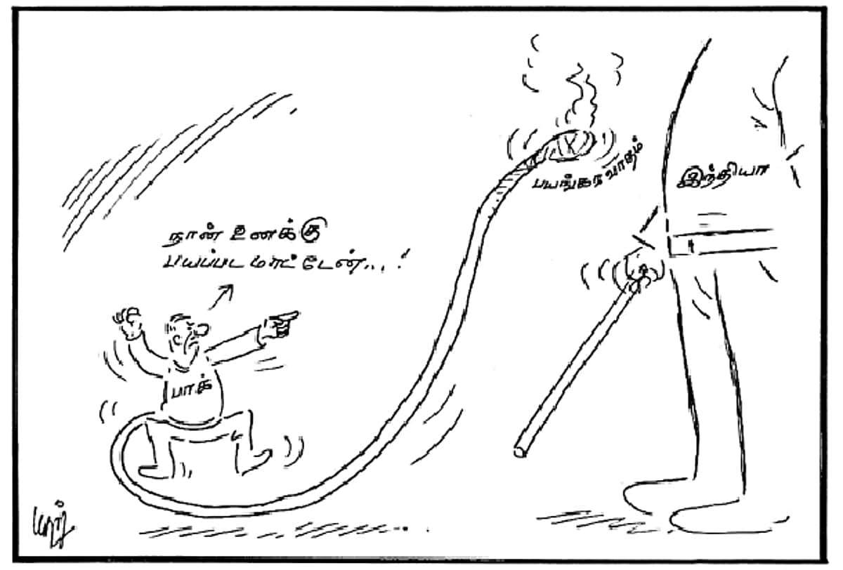News image