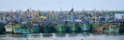 காசிமேடு மீன்பிடித் துறைமுகத்தில் அனைத்து படகுகளையும் ஆய்வு செய்ய முடிவு: மீன்வளத் துறை நடவடிக்கை