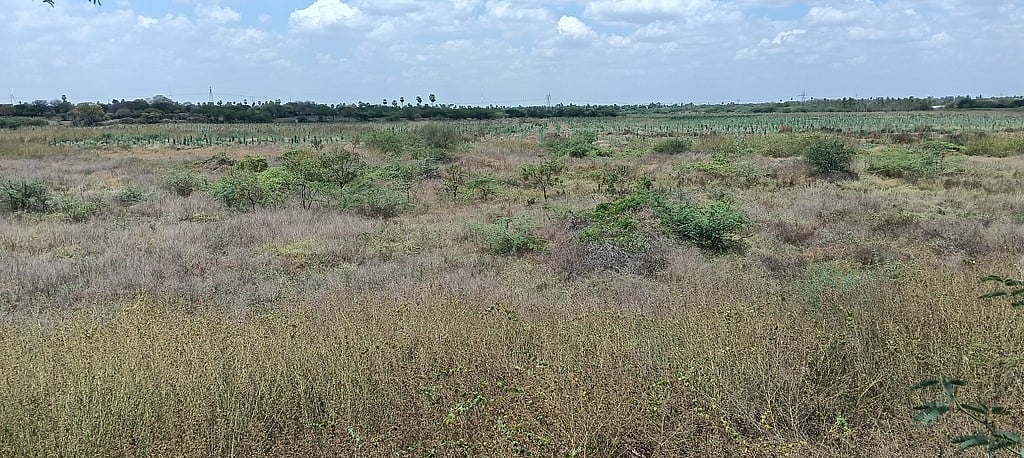 தாதம்பாளையம் ஏரியை மீட்க எதிா்பாா்ப்பு! 