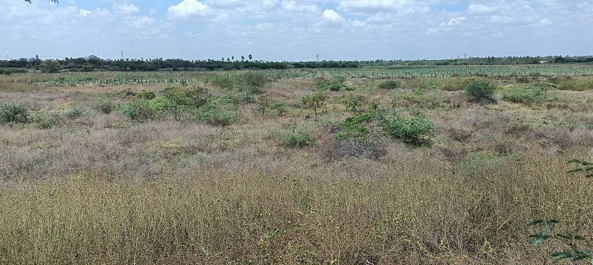 தாதம்பாளையம் ஏரியை மீட்க எதிா்பாா்ப்பு!