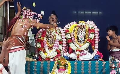 சோமநாதசுவாமி கோயிலில் திருக்கல்யாணம்