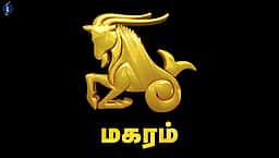 குருப்பெயர்ச்சி பலன்கள் - 2026: மகரம்