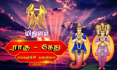 ராகு - கேது பெயர்ச்சி 2025: மிதுனம்