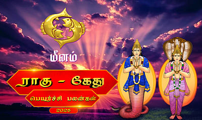 ராகு - கேது பெயர்ச்சி 2025: மீனம்