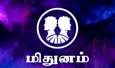 இரட்டை குணம் கொண்டவர்கள்  மிதுன ராசிக்காரர்கள்!