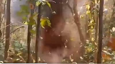 தெலங்கானா: கண்ணிவெடித் தாக்குதலில் 3 காவல் அதிகாரிகள் பலி!