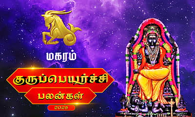 குருப்பெயர்ச்சி பலன்கள் - 2025: மகரம்