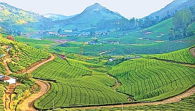மேகமலை...