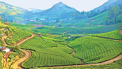 மேகமலை...