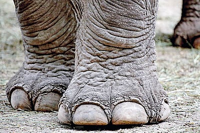 தெரியுமா?