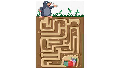 வழிகாட்டுங்கள்