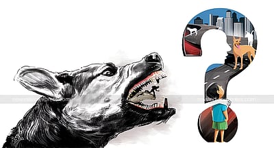 தமிழகத்தில் ரேபிஸ் பாதிப்பால் ஏழரை மாதங்களில் 20 போ் உயிரிழப்பு!