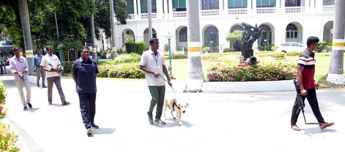 News image