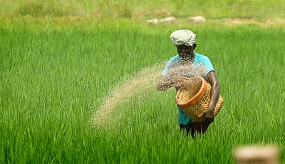 மண்ணின் வளம் நாட்டின் நலம்!