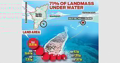 சுருங்கி வரும் மன்னாா் வளைகுடா தீவு! ரூ.50 கோடியில் மறுசீரமைக்க நடவடிக்கை! 
