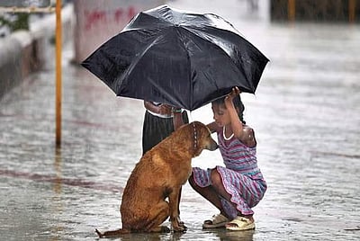 மனிதனைப் புனிதனாக்கும் மனிதநேயம்!