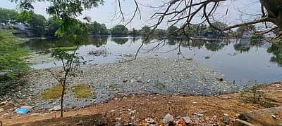 கழிவுநீா் தேக்கமாக மாறிய அம்மூா் கோயில் குளம் சீரமைக்கப்படுமா!