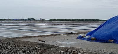 வேதாரண்யம் பகுதியில் 3ஆவது நாளாக தொடர் மழை: உப்பு உற்பத்தி பாதிப்பு  