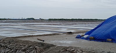 வேதாரண்யம் பகுதியில் 3ஆவது நாளாக தொடர் மழை: உப்பு உற்பத்தி பாதிப்பு  