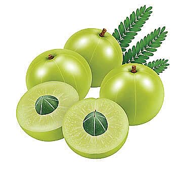 நெல்லிக்கனி